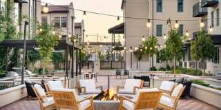 Springline Menlo Park Gallery 7