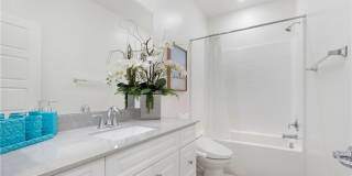225 Steely Gallery 24