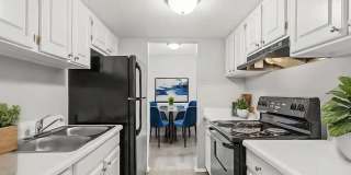 Marco Meadows Gallery 2