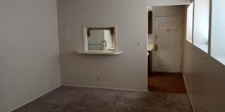 Studio with extra large closet and Bath, 600 sqft with walk in closet, washer/dryer in complex Gallery 8