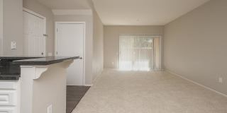 Avery at TownCentre Gallery 166