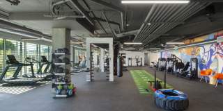 The Q Variel Gallery 4