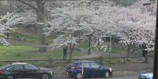 311 Greene St Gallery 4