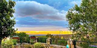 6625 CABANA DEL SOL Drive Gallery 42