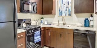 Orion ParkView Gallery 27