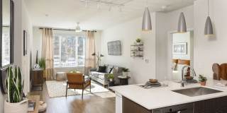 Axiom Cabin Branch Gallery 1