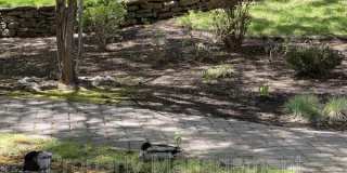 61301 Benham Road Gallery 5