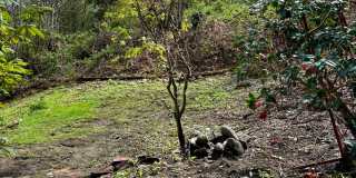 2 Bed / 2 Bath Lakeview Bellevue cottage $3,295/month Gallery 21