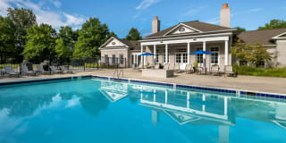 Alvista Bowie Gallery 1