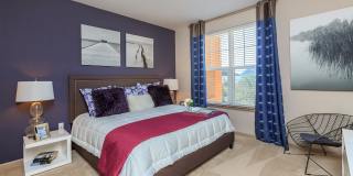 RIZE at Winter Springs Gallery 48