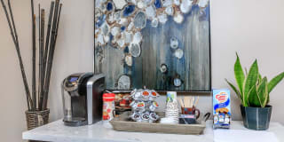Hickory View Gallery 43