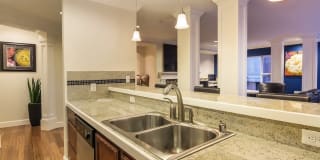 Sidney Sidney Gallery 8