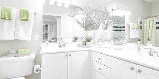 Affordable Housing - Elan at Mallard Creek Apartment Homes Gallery 83