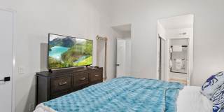 Palm Court Furnished Delight! Gallery 13