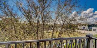 343 Flamingo Drive Gallery 41