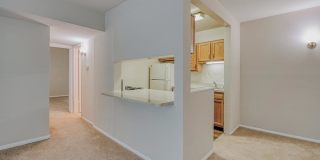 Rollingwood Gallery 7