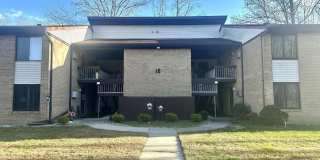 10 Pine Cluster Circle unit: E Gallery 1