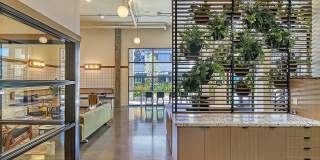 Terrace Station Gallery 16