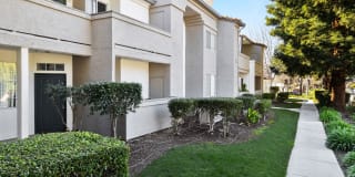 Terra at Portola Park Gallery 1