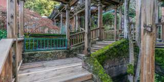 Stunning Architectural Masterpiece! 5BR+Yoga Studio/4.5BA! Ross! Views! Pool! Pet! Waterfalls!  PROGRESSIVE Gallery 4