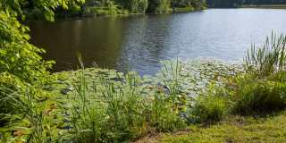 J Harbor Park at North Point Gallery 50