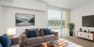 1711 Apartments Gallery 19