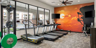 Acero on Roosevelt Gallery 18