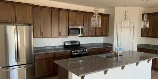 29437 N 113th Lane Gallery 26