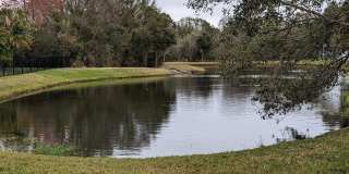 8336 TORRINGTON AVENUE Gallery 37