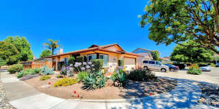 Beautifully Remodeled 3bd Single Story House: Everything Brand New! Beautifully Remodeled 3bd Single Story House: Everything Brand New! Gallery 17