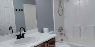 31018 Strawberry Tree Ln Gallery 20