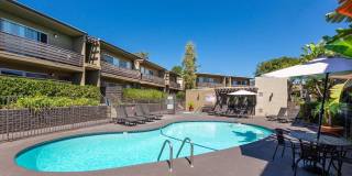 Elán Avante Apartment Homes Gallery 13