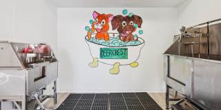 Deer Crest Apartment Homes Gallery 19