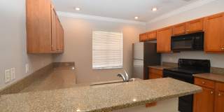 4901 Elizabeth Anne Cir Gallery 2
