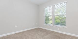 The Rothbury Gallery 101