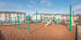 Avant at Steele Creek Gallery 20