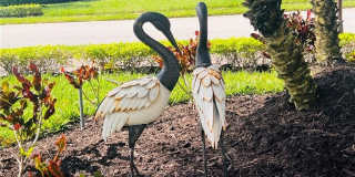 6574 Amarone Ln Gallery 4