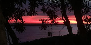 2613 Mission Blvd Gallery 20