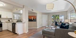909 West Gallery 28
