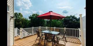 23421 SPICE BUSH Terrace Gallery 5
