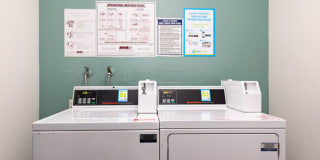 Bloom Beverly Hills Gallery 15