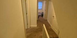 Southside Flats 3 bedroom! Central AC! Washer and Dryer Included! Available 8/7 Gallery 5