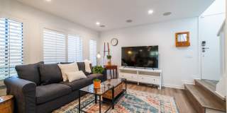 2465 Caminito Ocean Cove Gallery 21