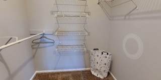 Available now, in Dublin City Schools! Gallery 33