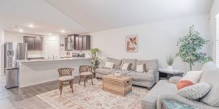 7019 CAPELLA CV Gallery 13