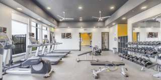 Fusion 355 Gallery 24