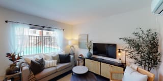 Santa Monica Palms Gallery 12