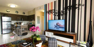 AMLI Dadeland Gallery 2