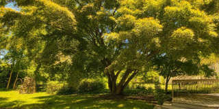 129 Rumson Road Gallery 13