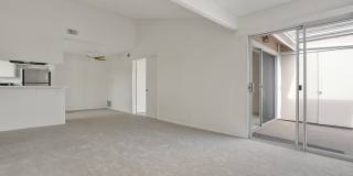 34040 Selva #127 Gallery 12